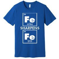 IRON Sharpens IRON Proverbs 27:17 Premium T-Shirt