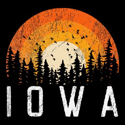Iowa Retro Style Vintage 70s 80s 90s T-Shirt