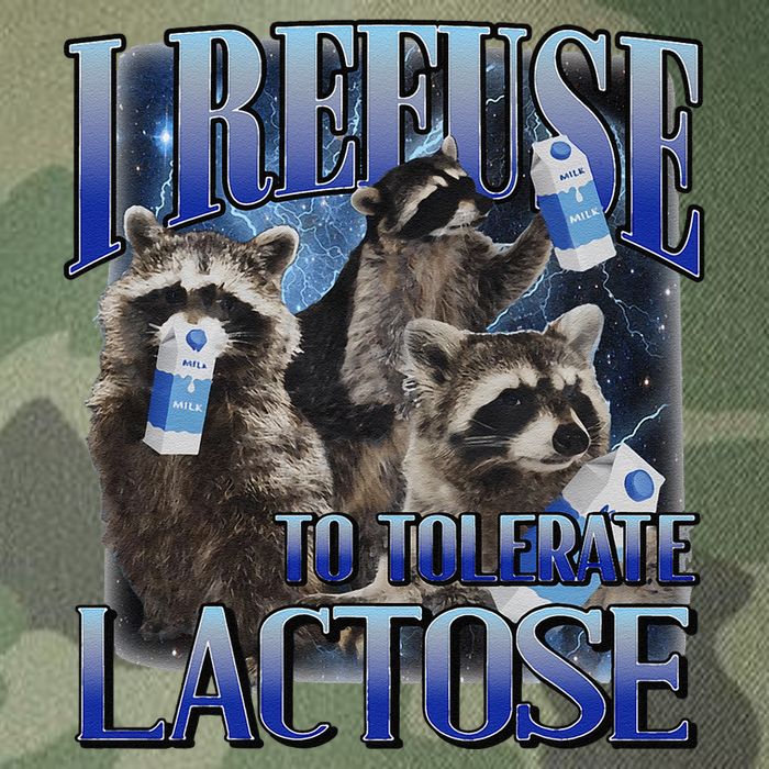 I Refuse To Tolerate Lactose Racoon Meme Lactose Intolerant Legacy Tie Dye Trucker Hat