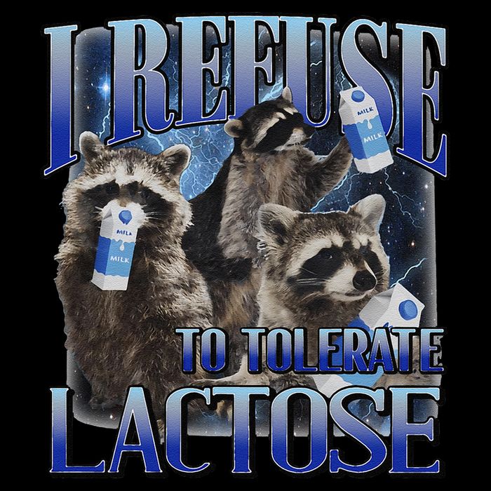 I Refuse To Tolerate Lactose Racoon Meme Lactose Intolerant Full-Length Apron With Pockets