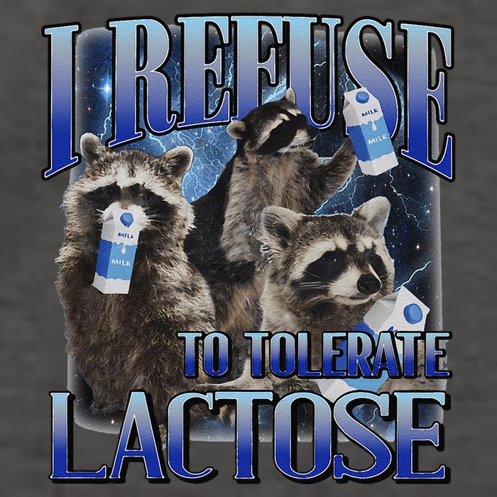 I Refuse To Tolerate Lactose Racoon Meme Lactose Intolerant Vector Backpack