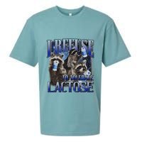 I Refuse To Tolerate Lactose Racoon Meme Lactose Intolerant Sueded Cloud Jersey T-Shirt