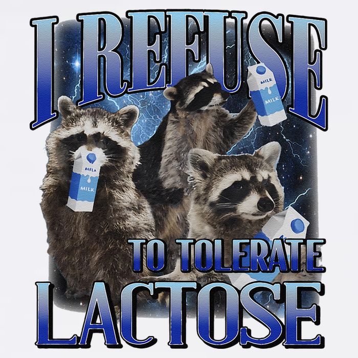 I Refuse To Tolerate Lactose Racoon Meme Lactose Intolerant Garment-Dyed Sweatshirt