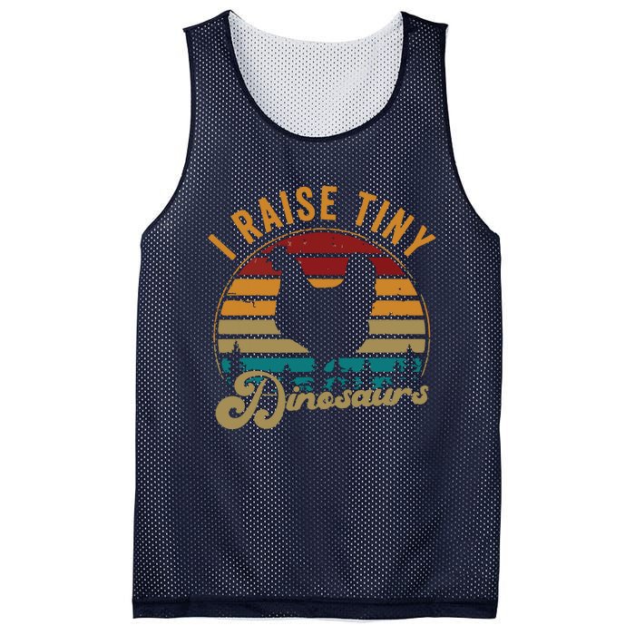 I Raise Tiny Dinosaurs Vintage Retro 70S Chicken Silhouette Mesh Reversible Basketball Jersey Tank