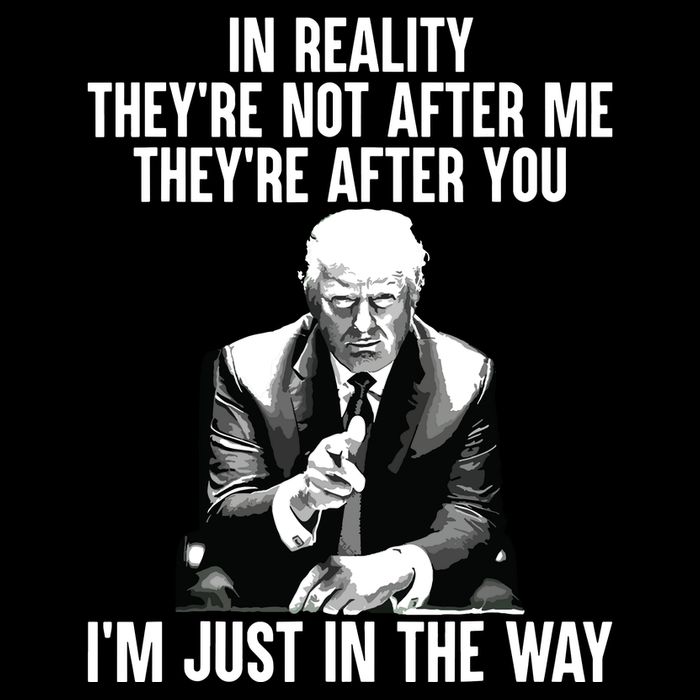 In Reality Theyre Not After Me Theyre After You Trump 2024 16 in Basic Backpack