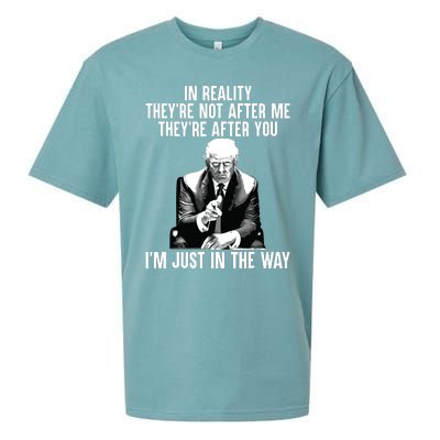 In Reality Theyre Not After Me Theyre After You Trump 2024 Sueded Cloud Jersey T-Shirt