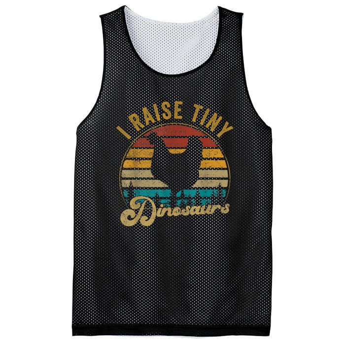 I Raise Tiny Dinosaurs Vintage Retro 70S Chicken Silhouette Mesh Reversible Basketball Jersey Tank