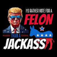 Id Rather Vote For A Felon Than A Jackass Poster