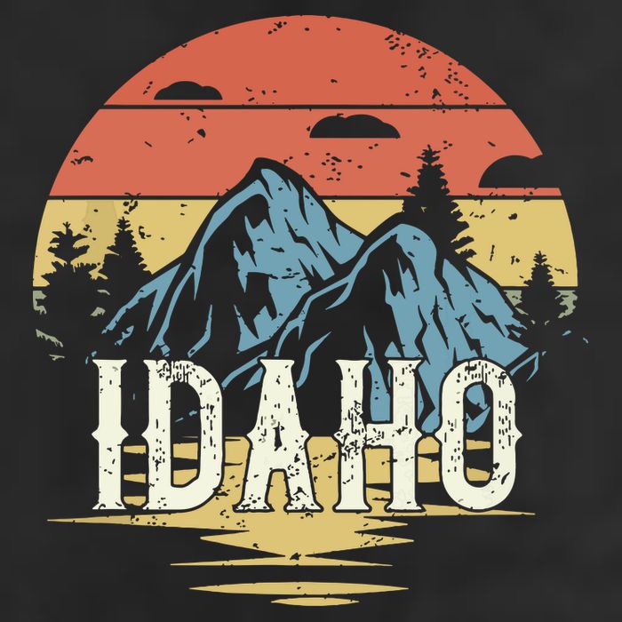 Idaho Retro Vintage Beanie