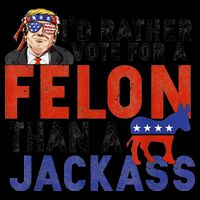 I’D Rather Vote For A Felon Than A Jack Ass Toddler Sweatshirt