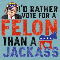 I’D Rather Vote For A Felon Than A Jack Ass Sueded Cloud Jersey T-Shirt