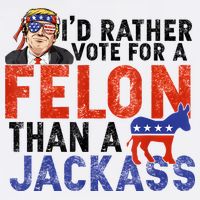 I’D Rather Vote For A Felon Than A Jack Ass Short Acrylic Beanie