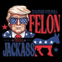 ID Rather Vote For A Felon Than A Jackass Trump America Apron