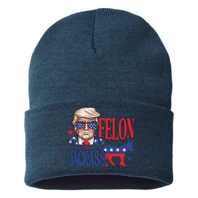 ID Rather Vote For A Felon Than A Jackass Trump America Sustainable Knit Beanie