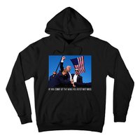 ID Rather Vote For A Felon Than A Jackass Trump Hoodie