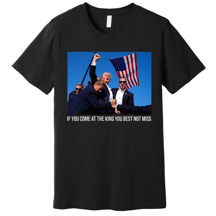 ID Rather Vote For A Felon Than A Jackass Trump Premium T-Shirt