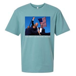 ID Rather Vote For A Felon Than A Jackass Trump Sueded Cloud Jersey T-Shirt