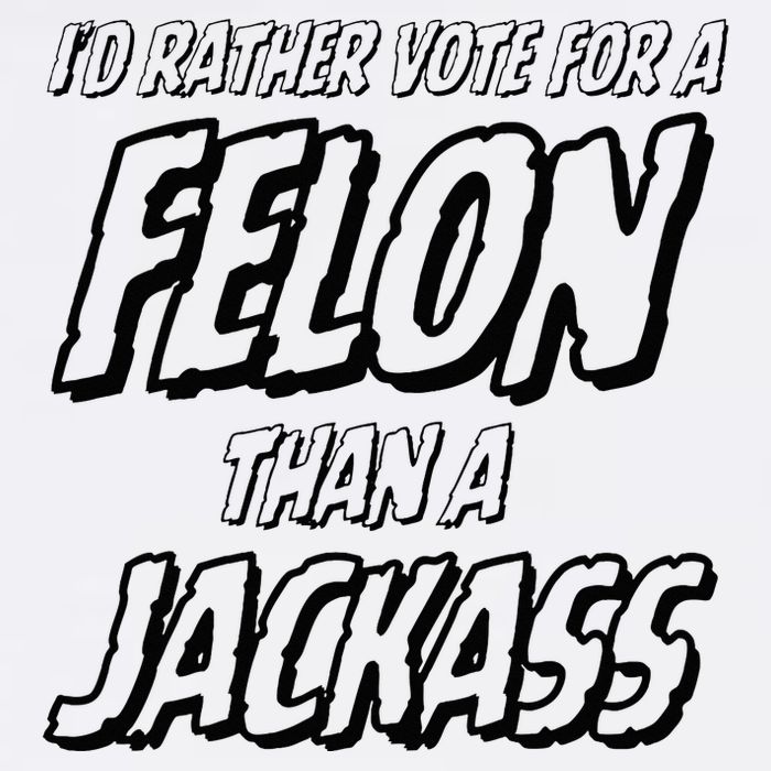 ID Rather Vote For A Felon Than A Jackass Trump Poster
