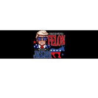 ID Rather Vote For A Felon Then For A Jackass Funny Trump Bumper Sticker