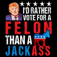 Id Rather Vote For Felon Than A Jackass Toddler T-Shirt