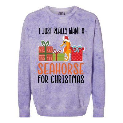 I Really Want A Seahorse For Christmas Holiday Seahorse Gift Colorblast Crewneck Sweatshirt