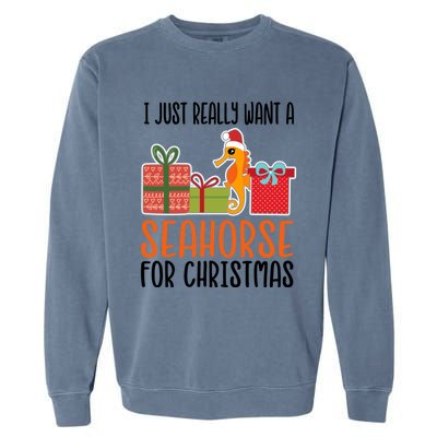 I Really Want A Seahorse For Christmas Holiday Seahorse Gift Garment-Dyed Sweatshirt