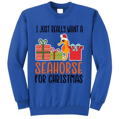 I Really Want A Seahorse For Christmas Holiday Seahorse Gift Sweatshirt