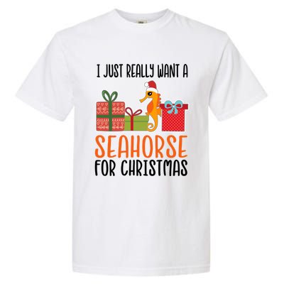 I Really Want A Seahorse For Christmas Holiday Seahorse Gift Garment-Dyed Heavyweight T-Shirt