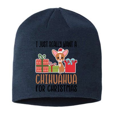 I Really Want A Chihuahua For Christmas Chihuahua Owner Gift Sustainable Beanie