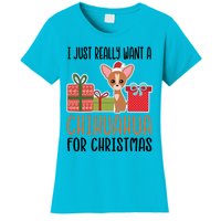 I Really Want A Chihuahua For Christmas Chihuahua Owner Gift Women's T-Shirt