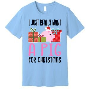 I Really Want A Pig For Christmas Great Gift Premium T-Shirt