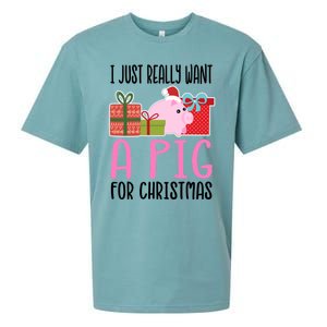 I Really Want A Pig For Christmas Great Gift Sueded Cloud Jersey T-Shirt