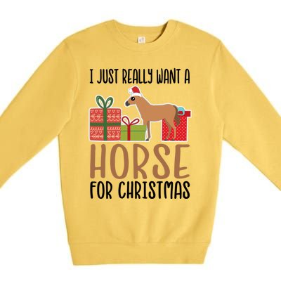 I Really Want A Horse For Christmas Gift Premium Crewneck Sweatshirt