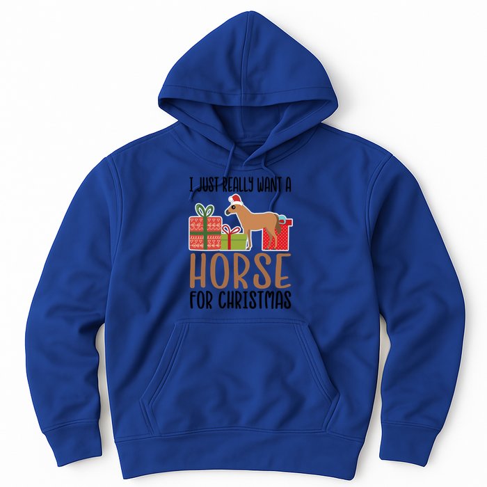 I Really Want A Horse For Christmas Gift Hoodie