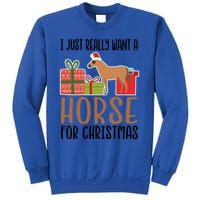 I Really Want A Horse For Christmas Gift Sweatshirt