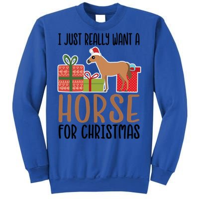 I Really Want A Horse For Christmas Gift Sweatshirt