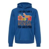 I Really Want A Horse For Christmas Gift Premium Hoodie