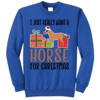 I Really Want A Horse For Christmas Gift Tall Sweatshirt