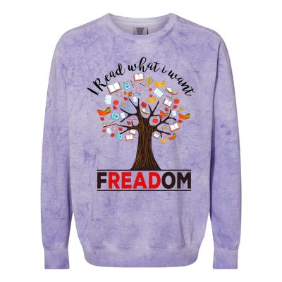 I Read What I Want Banned Books Week Librarian Colorblast Crewneck Sweatshirt