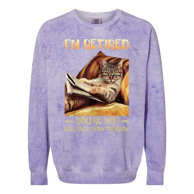 I'm Retired You're Not Have Fun At Work Tomorrow Funny Cat Colorblast Crewneck Sweatshirt