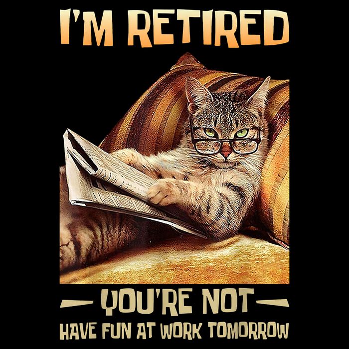 I'm Retired You're Not Have Fun At Work Tomorrow Funny Cat Flat Bill Trucker Hat