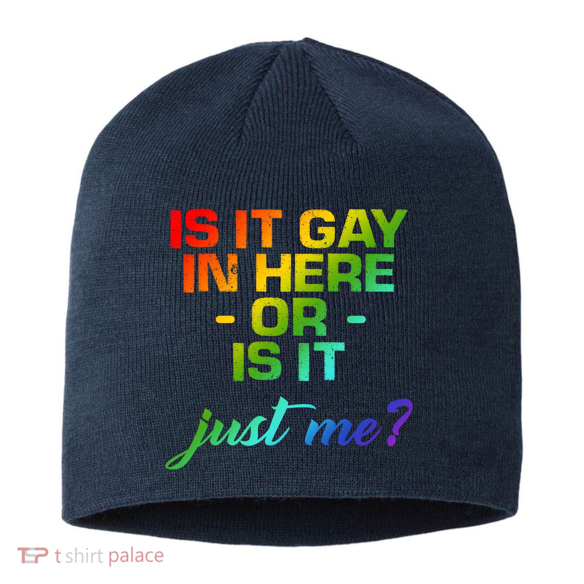 Is It Gay In Here Or Is It Just Me? Sustainable Beanie
