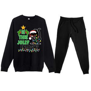 Is This Jolly Enough Funny Christmas Cat Premium Crewneck Sweatsuit Set