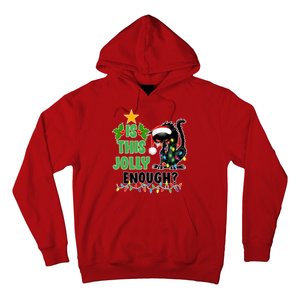 Is This Jolly Enough Funny Christmas Cat Hoodie