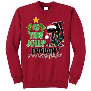 Is This Jolly Enough Funny Christmas Cat Tall Sweatshirt