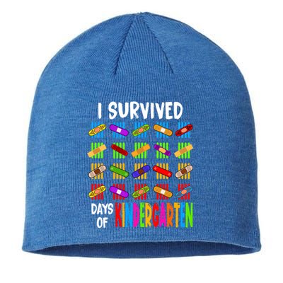 I Survived 100 Days Of Kindergarten Teacher 100th Day Gift Sustainable Beanie