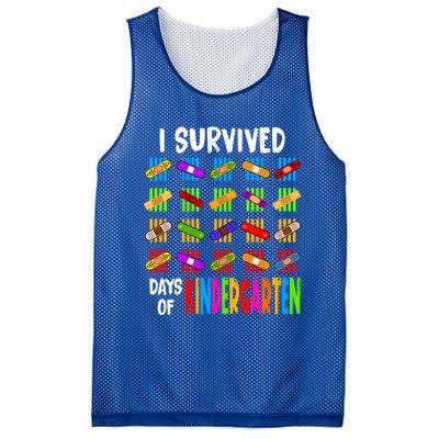 I Survived 100 Days Of Kindergarten Teacher 100th Day Gift Mesh Reversible Basketball Jersey Tank