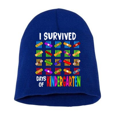 I Survived 100 Days Of Kindergarten Teacher 100th Day Gift Short Acrylic Beanie