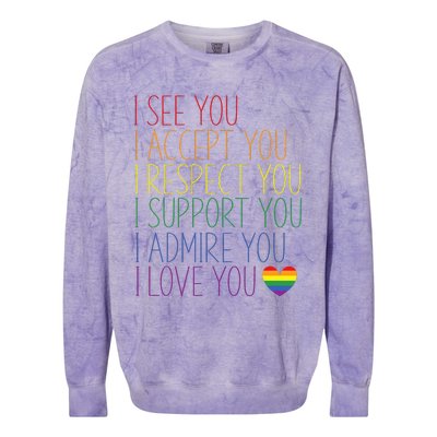 I See Accept Respect Support Admire Love You Lgbtq Colorblast Crewneck Sweatshirt