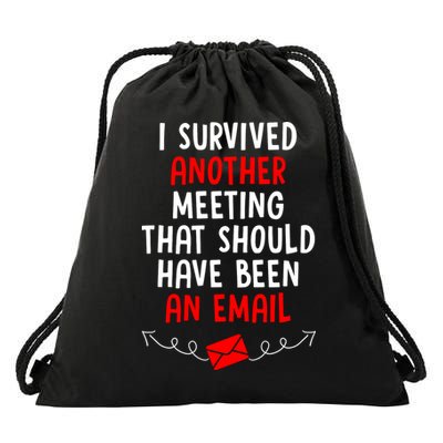 I Survived Another Meeting... Should Have Been An Email Drawstring Bag